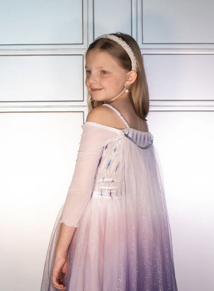 Joy Costumes The Glacier Queen