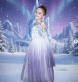 Joy Costumes The Glacier Queen