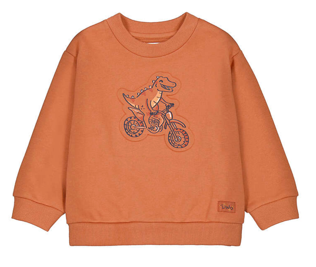 Mayoral Pullover Dino 4459 72