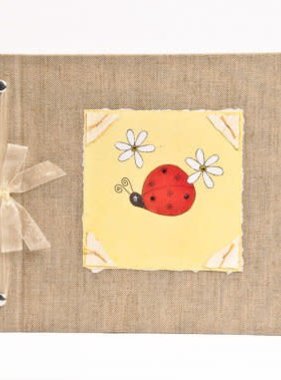 Baby Memory Book Baby Memory Book Ladybug