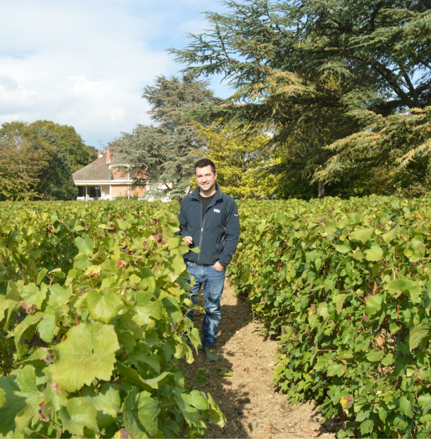 Etienne in the vineyard