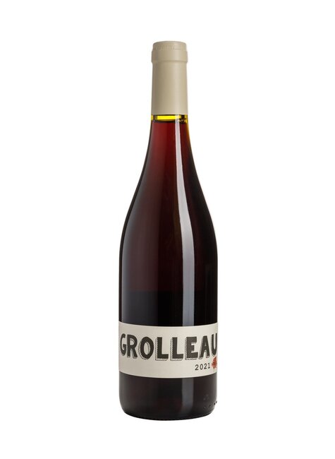 Domaine Regnier David 2021 Grolleau, France
