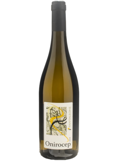 Pantaleone 2024 'Onirocep' Pecorino, Italy
