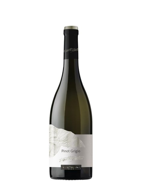 Zanotelli Zanotelli 2024 Trentino Pinot Grigio, Italy