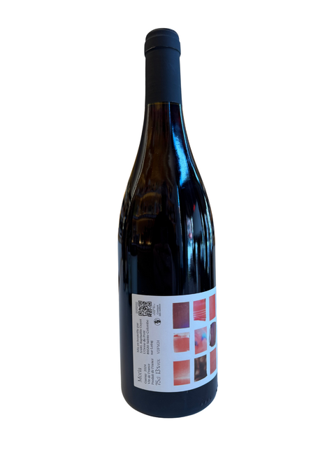 Raphaelle Guyot Raphaëlle Guyot 2024 'Moria' Gamay , France