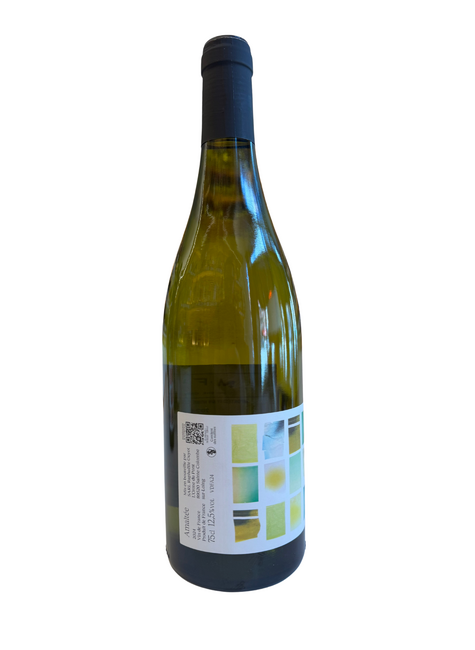 Raphaelle Guyot Raphaëlle Guyot 2024 Amaltée Aligoté, France