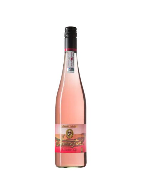 Ameztoi Ameztoi 2025 Getariako Txakolina Rubentis Rosé, Spain
