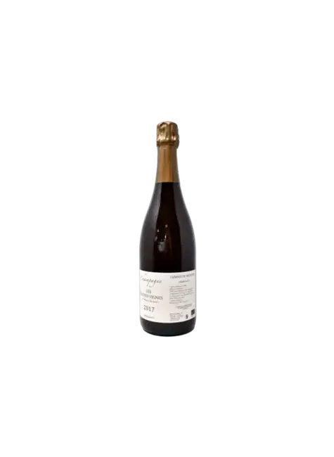 Emmanuel Brochet Emmanuel Brochet, Champagne Les Hautes Vignes Extra Brut, France