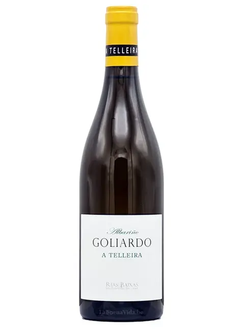 Forjas del Salnes Forjas del Salnés 2023 "Goliardo A Telleira" Albarino Rias Baixas, Spain