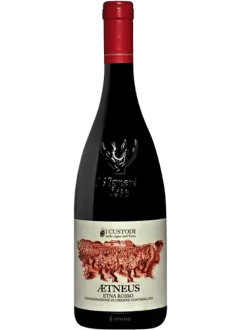 I Custodi 2020 Aetneus Etna Rosso, Italy