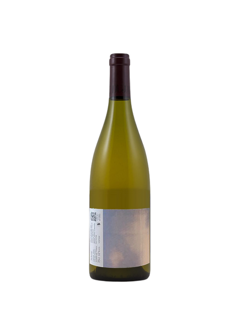 Raphaelle Guyot Raphaëlle Guyot 2024 'Selene' Chenin Blanc, France