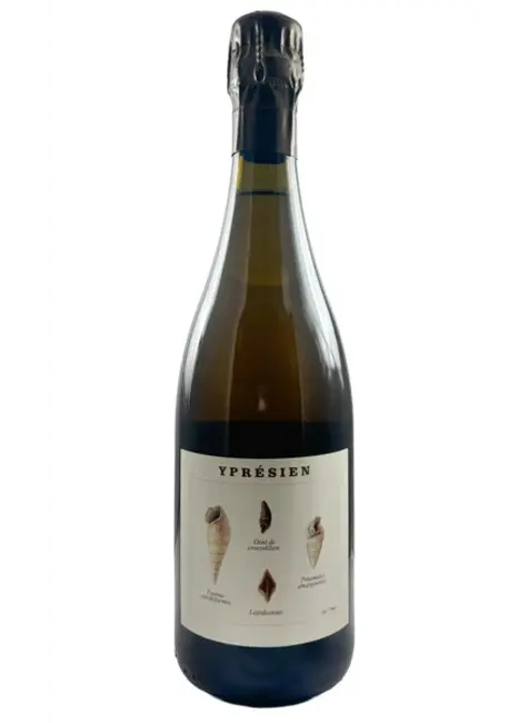 Legrand-Latour NV [2021 Base] Ypresien Brut Nature Champagne, France