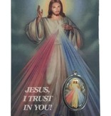 Divine Mercy Prayer Card w/medal