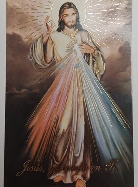 Corona De La Misericordia Tarjeta de Oracion