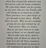 Prayer for my Pet