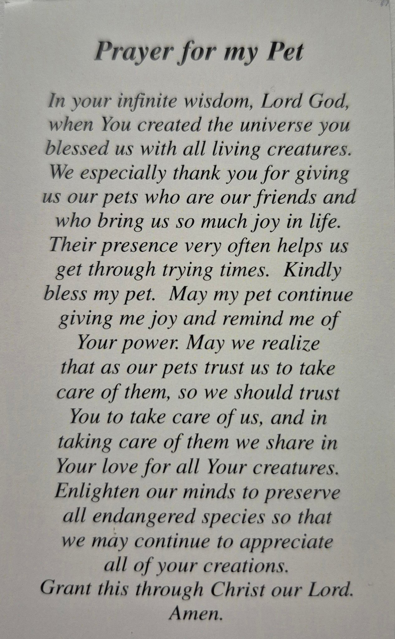 Prayer for my Pet