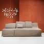 Heracleum III Suspendu
