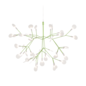 Heracleum III Suspendu