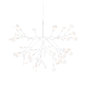 Heracleum III Suspendu
