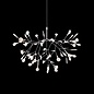 Heracleum III Suspendu