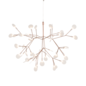 Heracleum III Suspendu