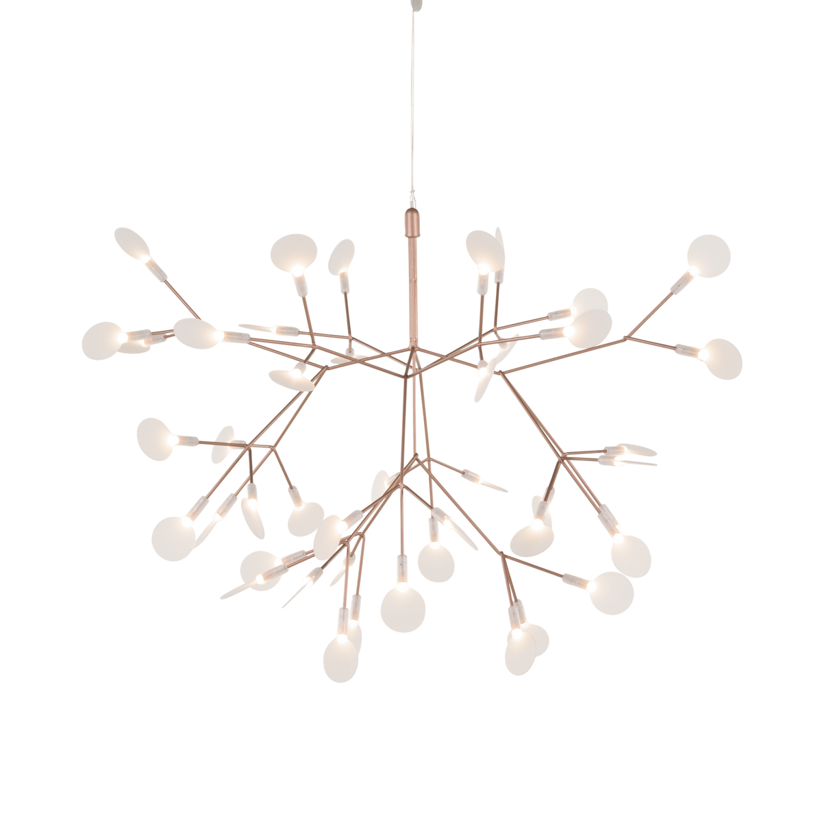 Heracleum III Suspended