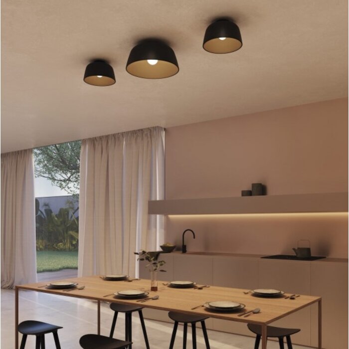 Miso Ceiling