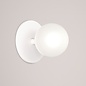 Neptune Wall Sconce