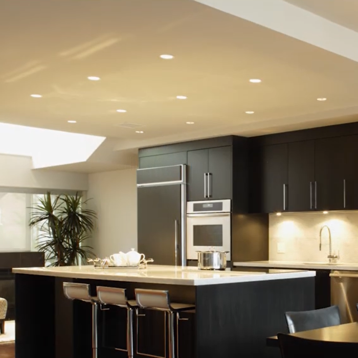 Legacy Downlight