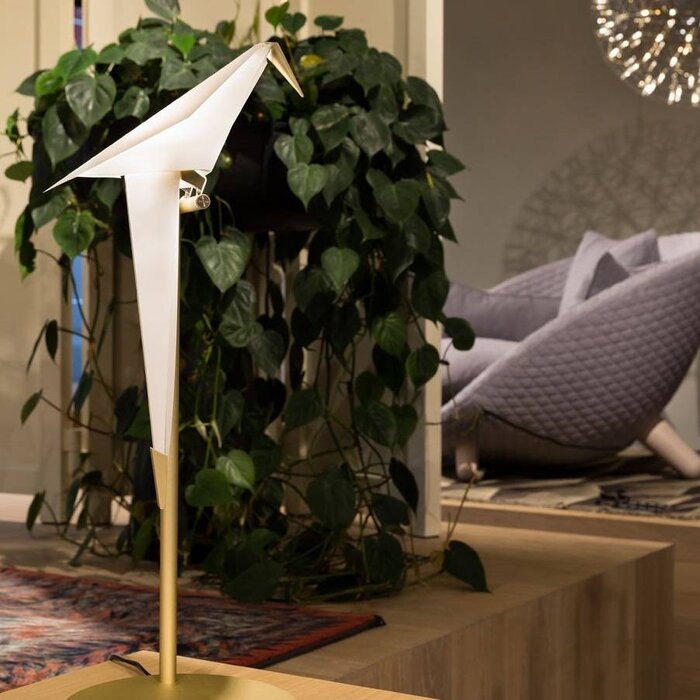Perch Light Table