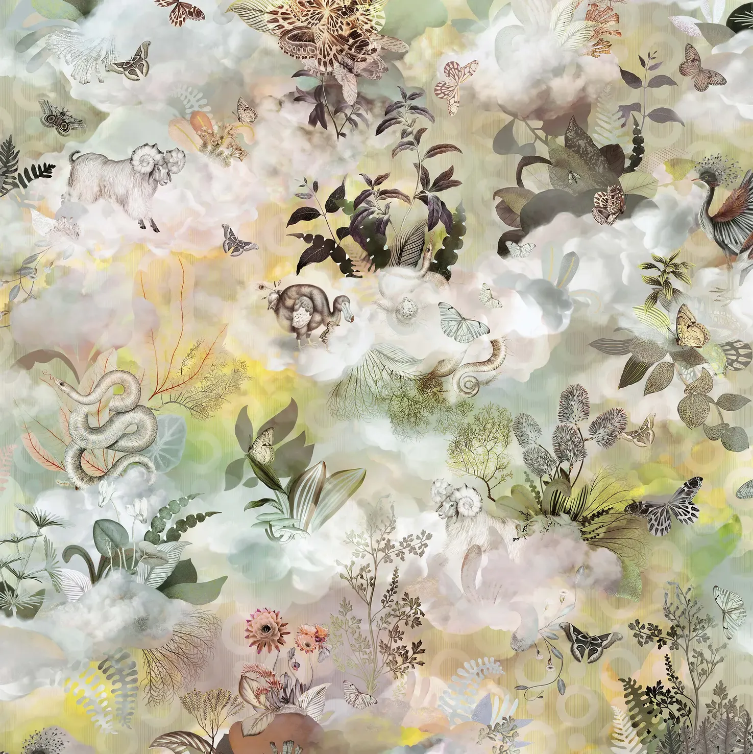 Memento Moooi Medley