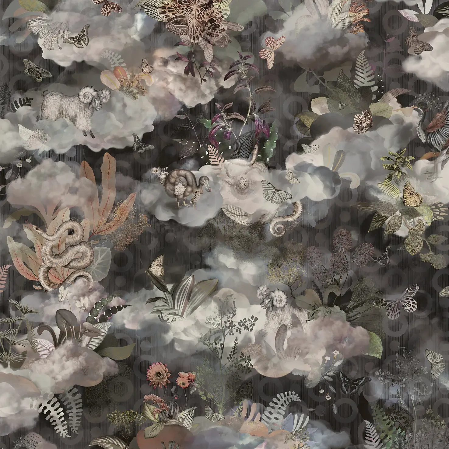 Memento Moooi Medley