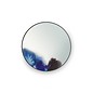Francis Miroir