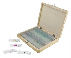 Slides & Supplies