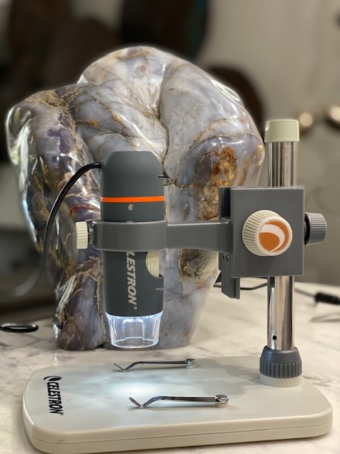 ProStaff Pick: Celestron 5mp Digital Microscope