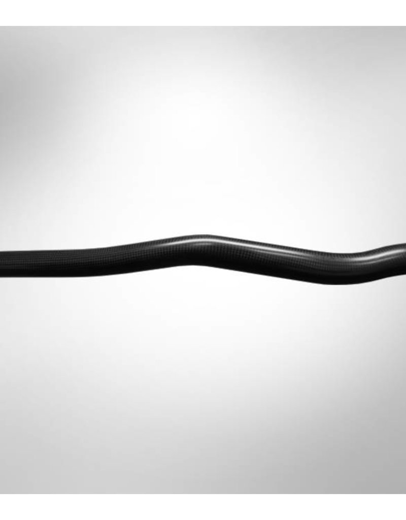 Werner Werner Sherba Carbon - Bent Shaft