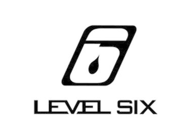 Level 6