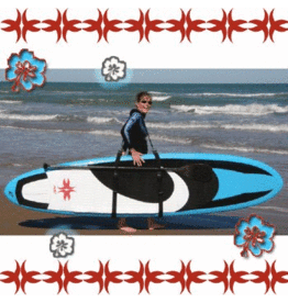 NSI SUP & Surfboard Carrier - Large