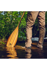 Bending Branches Bending Branches Expedition Plus - Updated!