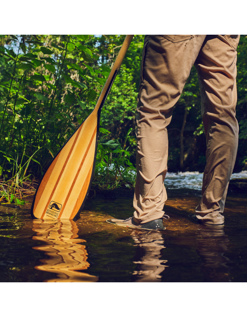 Bending Branches Bending Branches Expedition Plus - Updated!