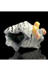 Birch Shell Pendant (B) Derrick Owens x Witch DR