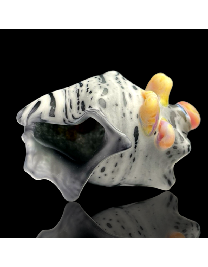 Birch Shell Pendant (B) Derrick Owens x Witch DR
