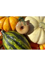 KGB x Sarah Marblesbee Witches Get Stoned Pumpkin Pendy KGB25