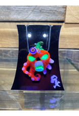 KGB x Sarah Marblesbee 3 Way Jack O Lantern KGBSM25 X SALT