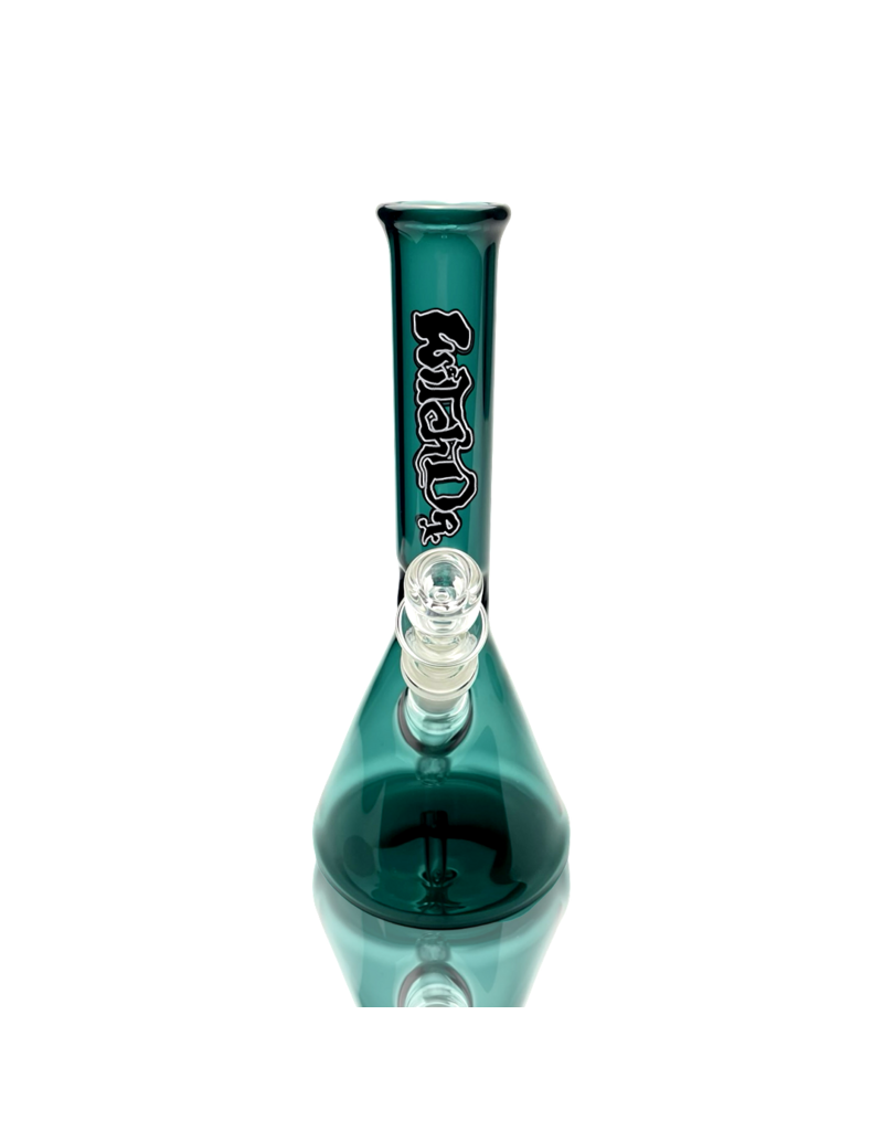 Witch DR 10" Lake Witch DR Label Beaker Bong