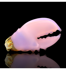 Milky Pink Barnacle Claw Pendant Mrs Claws