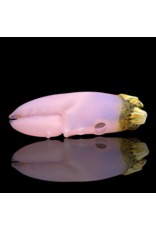 Milky Pink Barnacle Claw Pendant Mrs Claws