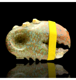 Color Barnacle Claw Pipe C Mrs Claws