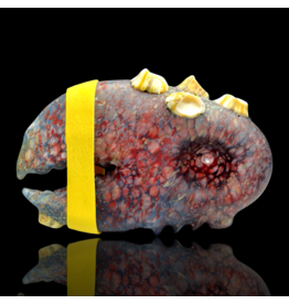 Blue Sandblasted Barnacle Claw Pipe Mrs Claws