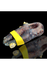 Blue Sandblasted Barnacle Claw Pipe Mrs Claws